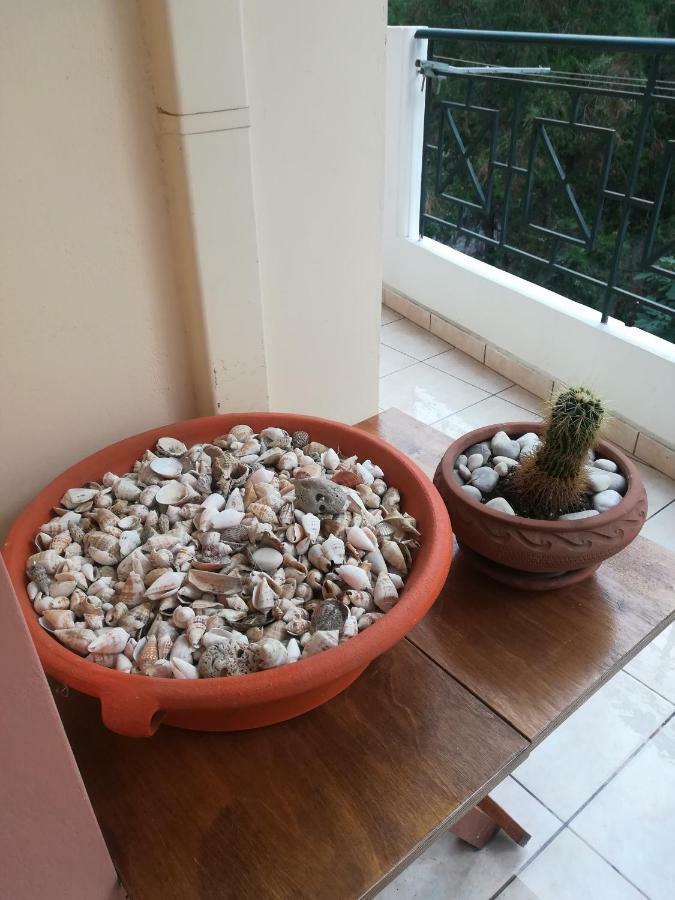 Quiet Spacious Apartment In Nafplion Exteriör bild
